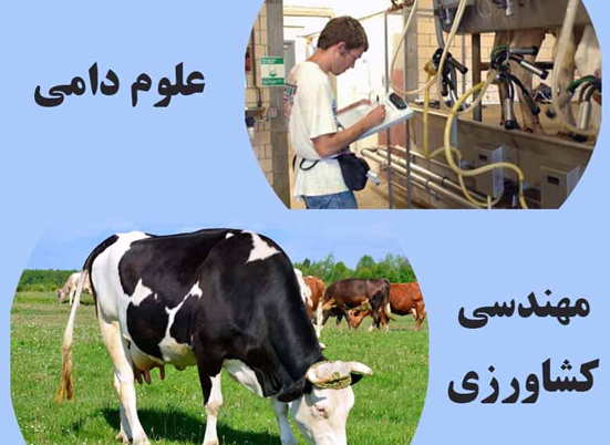 گروه آموزشی امور دامی